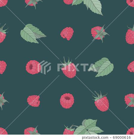 Vector seamless pattern berry concept. Colored...-插圖素材 [69000616] - PIXTA圖庫