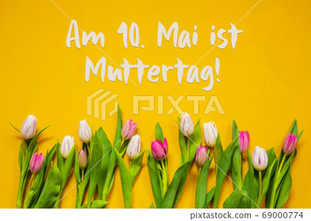 Colorful Tulip, Text Muttertag Means Mothers Day, 69000774