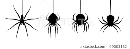 halloween spider's web vector. black spider on 69003182