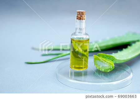Aloe vera star cactus slide Isolated on gray background Aloe vera star cactus slide Isolated on gray background 69003663