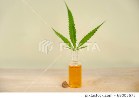 Hemp leaves and CBD oil. Alternative Medicine, Herbal Treatment concept Hemp leaves and CBD oil. Alternative Medicine, Herbal Treatment concept 69003675