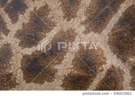 Texture, pattern on the skin of a giraffe Texture, pattern on the skin of a giraffe 69003861