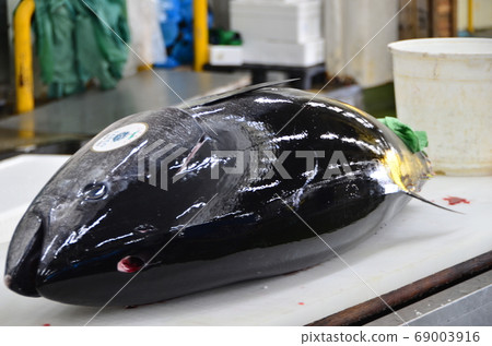 金槍魚拆遷秀 69003916