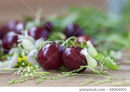 Pair of juicy sweet cherry berries, field flowers Pair of juicy sweet cherry berries, field flowers 69004001