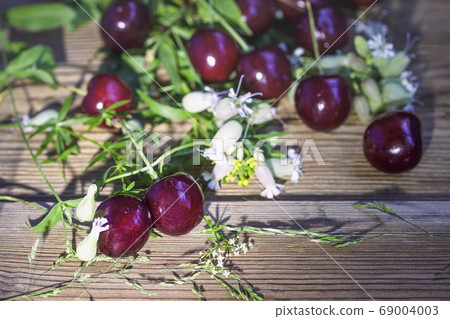 Top view of dark red juicy cherries, foliage and Top view of dark red juicy cherries, foliage and 69004003