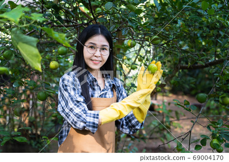 Selective focus,Beautiful young asian woman gardening in brown apron 69004170