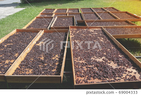 Currant in the organic raisin drying yard on sunshiny day Currant in the organic raisin drying yard on sunshiny day 69004333