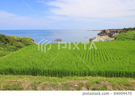 Summer view of the Sea of Japan on Sadogashima and rice fields 69004470