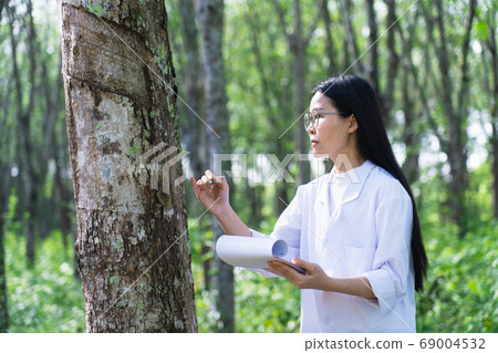 Female botanists in white coat at the forest.Young asian scientist woman looking at the bark of the rubber tree and make notes to paper in clip board for researches rubber latex development 69004532