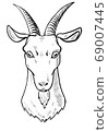 Goat head (line drawing) 69007445
