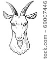 White goat head 69007446
