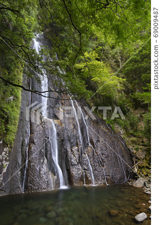 Ochiuchi Falls (Kiho Town, Minamimuro District, Mie Prefecture) 69009487