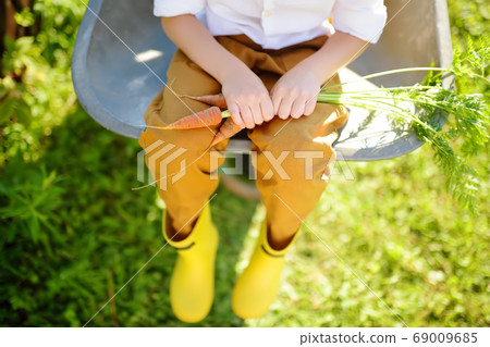 Little boy having fun in wheelbarrow in domestic garden Little boy having fun in wheelbarrow in domestic garden 69009685