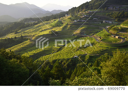 丸山千ma田夜景(三重縣熊野市基瓦町) 丸山千ma田夜景(三重縣熊野市基瓦町) 69009770