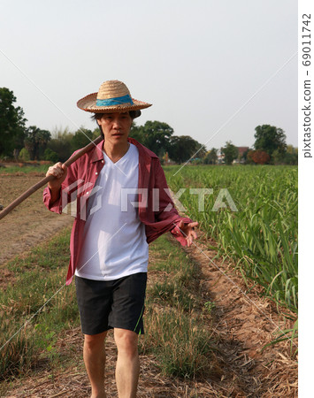 Man farmer with hoe in hand walking in the sugarcane farm and wearing a straw hat 69011742