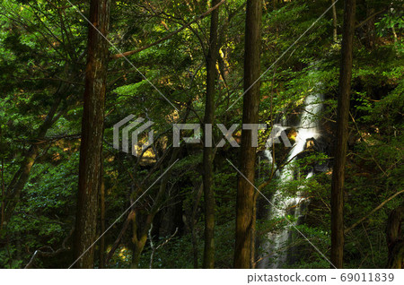 Valley waterfall illuminated by the morning sun 69011839