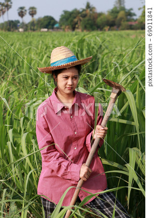 Woman farmer with hoe in hand working in the sugarcane farm and wearing a straw hat Woman farmer with hoe in hand working in the sugarcane farm and wearing a straw hat 69011841