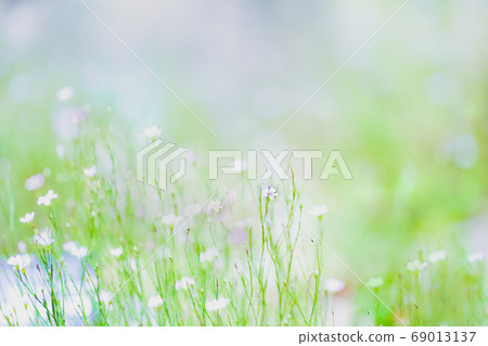 A field landscape full of fantasy A field landscape full of fantasy 69013137