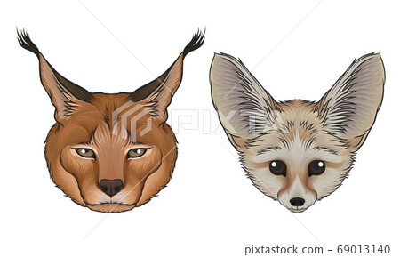 Fennec Fox and Lynx Muzzle with Fur Vector Set 69013140