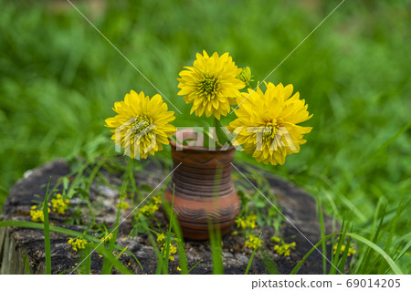 Bouquet of yellow flowers close up in ceramic Bouquet of yellow flowers close up in ceramic 69014205