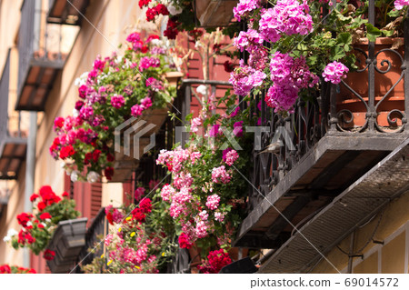 Bright geranium flowers displayed in a private house in the ancient city of Toledo, Spain 69014572