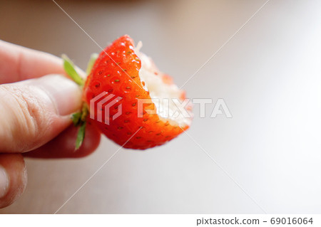 Biting freshly picked fresh strawberries Biting freshly picked fresh strawberries 69016064