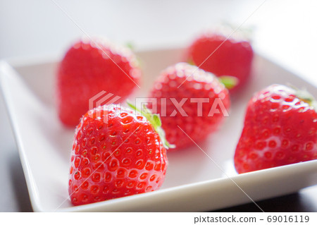 Freshly picked strawberries Freshly picked strawberries 69016119