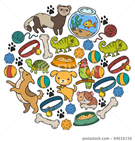 Veterinary clinic, zoo, pet shop. Cats, dogs, fish, parrot. Toys for animals, animal care. Veterinary clinic, zoo, pet shop. Cats, dogs, fish, parrot. Toys for animals, animal care. 69016150