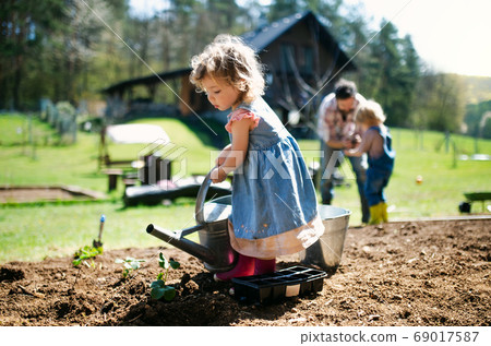 Small girl watering outdoors in garden, sustainable lifestyle concept. 69017587