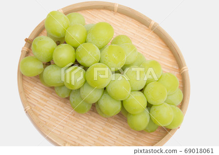 Shine Muscat 69018061