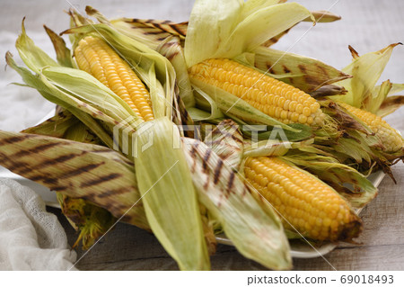 Corn on the cob grilled 69018493