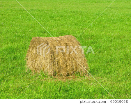 Haystack on green grass Haystack on green grass 69019038