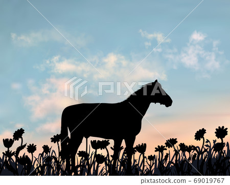 One horse stands on the lawn full of camomile flowers. Countryside meadow at the sunset. Simple One horse stands on the lawn full of camomile flowers. Countryside meadow at the sunset. Simple 69019767