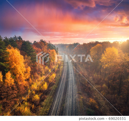 Aerial view of beautiful railroad in autumn forest in foggy sunrise. Industrial landscape 69020331
