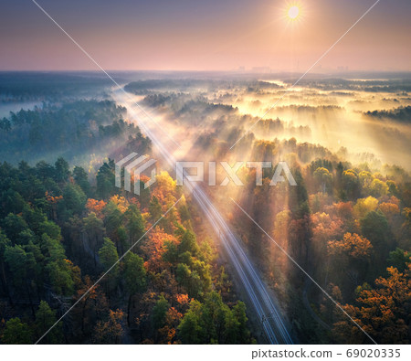 Aerial view of beautiful railroad in autumn forest in foggy sunrise. Industrial landscape 69020335
