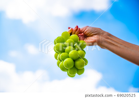 Shine Muscat and summer sky 69020525