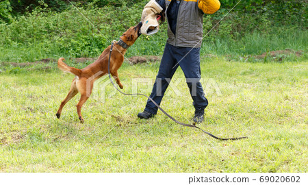 The instructor conducts the lesson with the 69020602