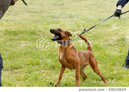 The instructor conducts the lesson with the 69020604