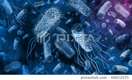 Bacteria 69022035