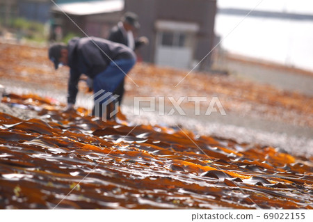 Kelp sun dried Kelp sun dried 69022155