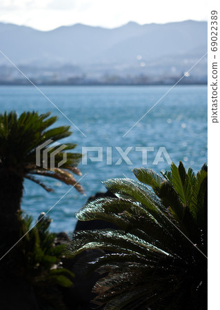 Sotetsu of the port of the southern country Sotetsu of the port of the southern country 69022389