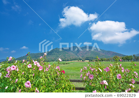 [Hiruzen Kogen (Hiruzen Jersey Land)] Hiruzen Naka Fukuda, Maniwa City, Okayama Prefecture 69022829