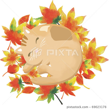 Cat Taking A Nap On The Fallen Leaves Stock Illustration