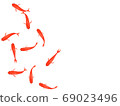 Illustration of a goldfish seen from above 69023496