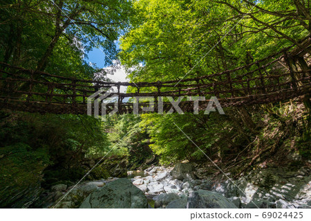 Oku Iya Double Kazura Bridge 69024425