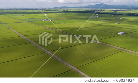 《秋田縣》緒方村的稻田 《秋田縣》緒方村的稻田 69024924