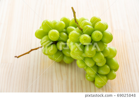 Shine Muscat, Koshu City, Yamanashi Prefecture 69025848