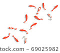 Illustration of a goldfish seen from above 69025982