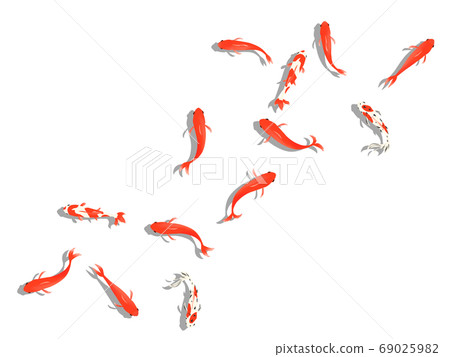 從上面看的金魚的插圖 69025982