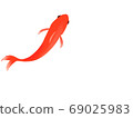 Illustration of a goldfish seen from above 69025983